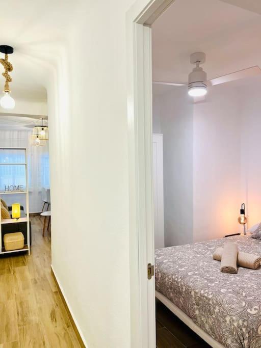 Apartment New Spacious And Cozy - *