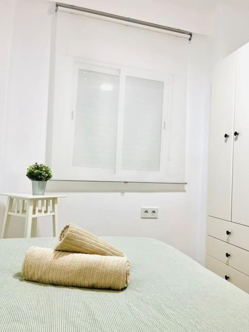 New Spacious And Cozy - Apartment